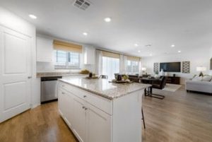 Casa en Renta heritage place hemet ca 3hab 3ba 1705 ft (3)