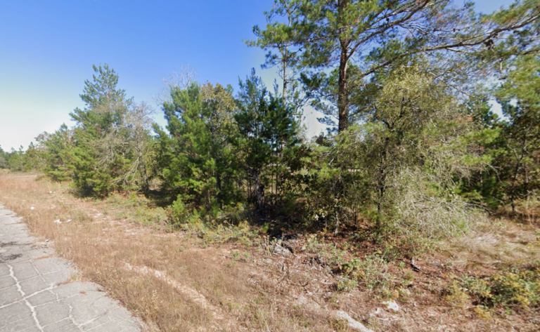 0.30 acre residential lot (Chipley – Washington county)
